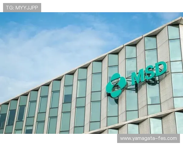 尊龙z6中国区有限公司新版官网优化用户体验，提升访问速度与内容丰富度