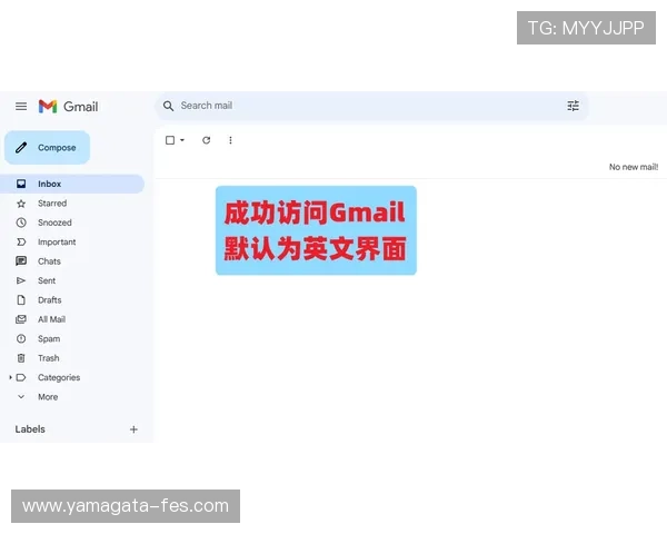 尊龙帐号注册的详细步骤及注意事项确保您的账号安全无忧